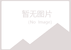 东莞大朗山柏采矿有限公司